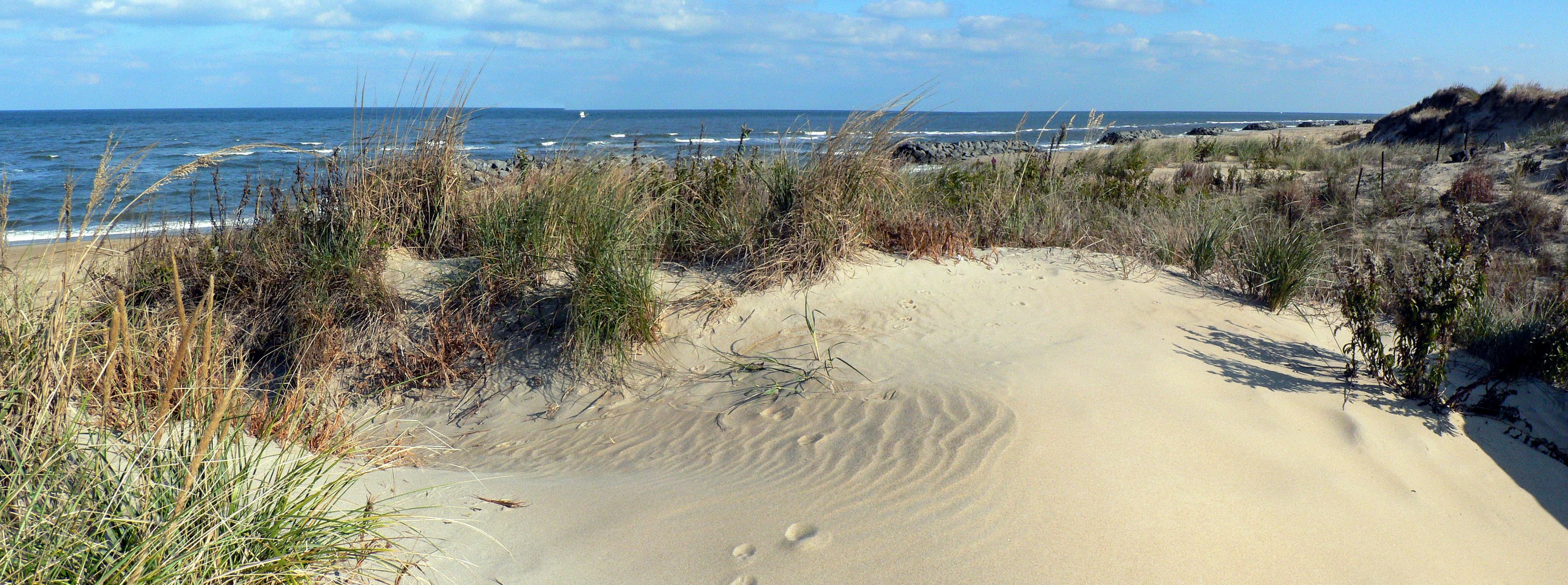 Chesapeake Bay sand dunes and shoreline